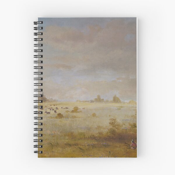 Item preview, george catlin artwork designed and sold by Amy-Hamilton.