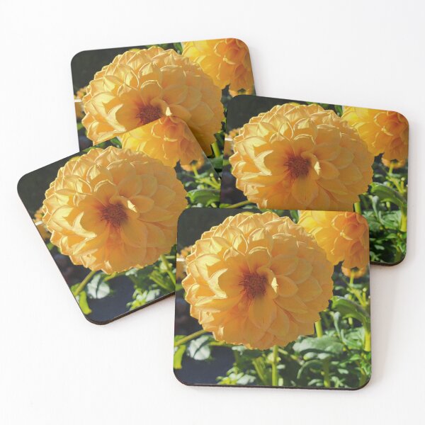 Item preview, Golden Dahlias designed and sold by Claire L Page Photography.