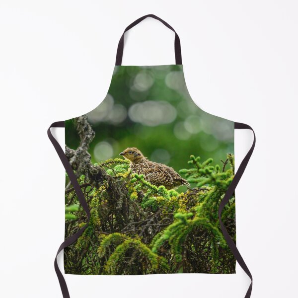 Item preview, Baby Spruce Grouse Chick - Kenai Peninsula, Alaska designed and sold by AlsknMommaBear2.