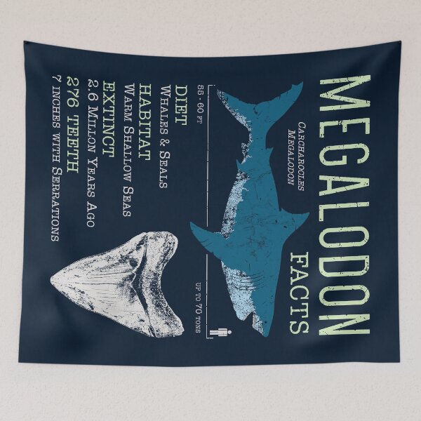 Item preview, Datos del megalodón designed and sold by IncognitoMode.