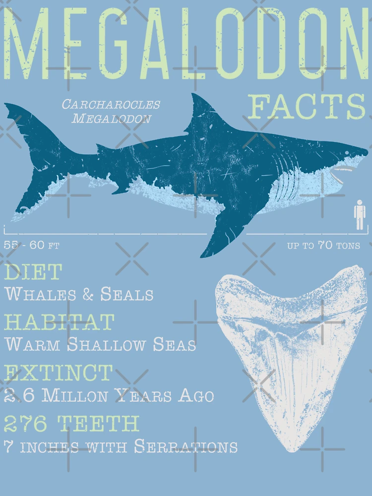 Megalodon Facts | Kids T-Shirt