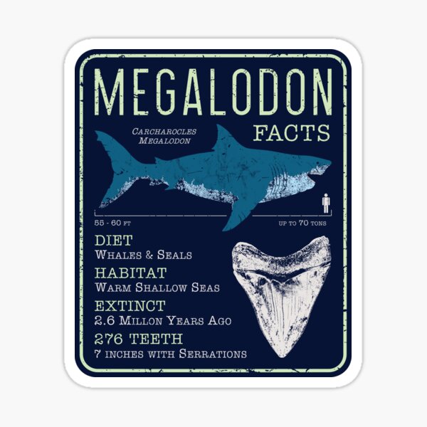 Item preview, Megalodon Facts designed and sold by IncognitoMode.