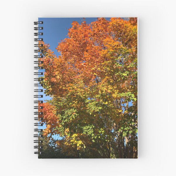 Item preview, Fall on Fire designed and sold by graphitegalaxy.