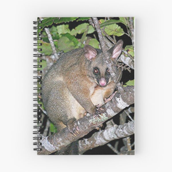 Item preview, Possum ....... ¿a quién llamas una amenaza ...? designed and sold by Roy  Massicks.
