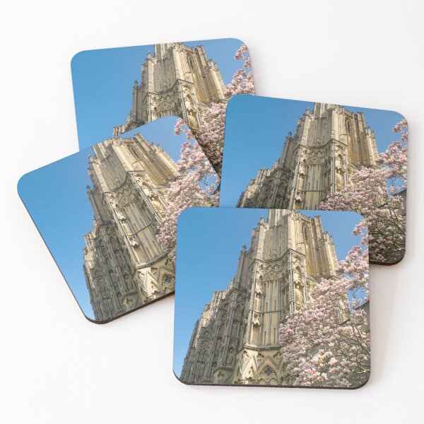 Item preview, Wells Cathedral Magnolia designed and sold by JonDelorme.