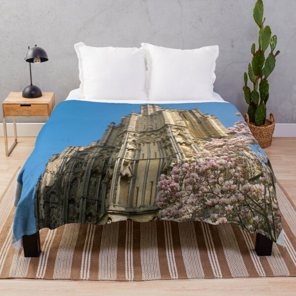 Item preview, Wells Cathedral Magnolia designed and sold by JonDelorme.