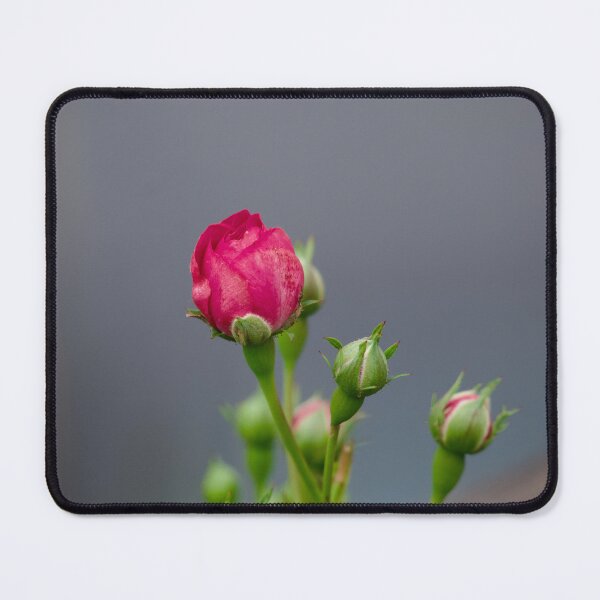 Item preview, Portrait of Rose buds designed and sold by GuruKde.