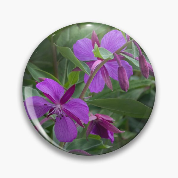 Item preview, Dwarf Fireweed designed and sold by Betty Sederquist.