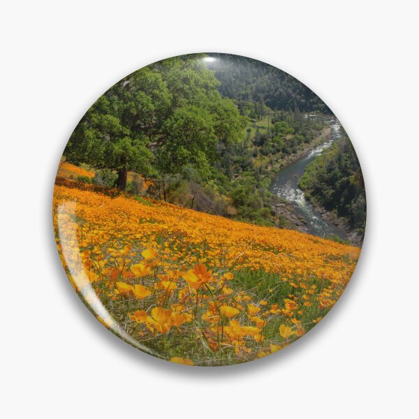 Item preview, A Hillside of Poppies near Coloma designed and sold by Betty Sederquist.