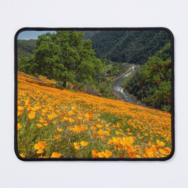 Item preview, A Hillside of Poppies near Coloma designed and sold by Betty Sederquist.