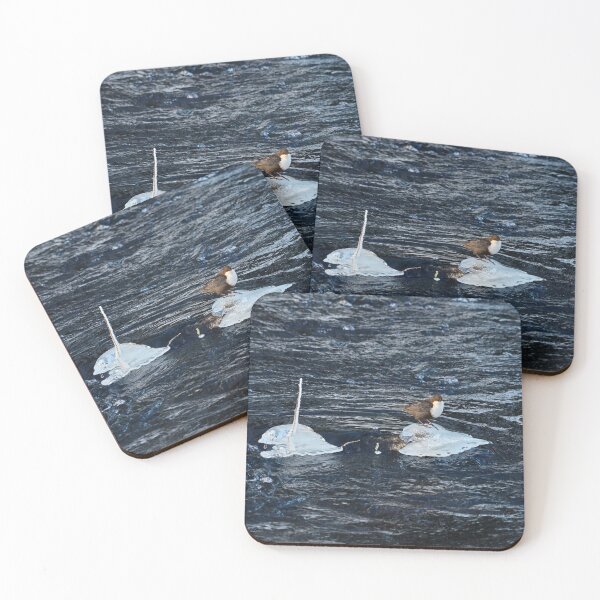 Item preview, On the blues. White-throated dipper designed and sold by Jouko Lehto Photography.