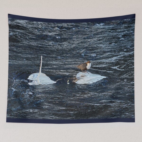 Item preview, On the blues. White-throated dipper designed and sold by Jouko Lehto Photography.