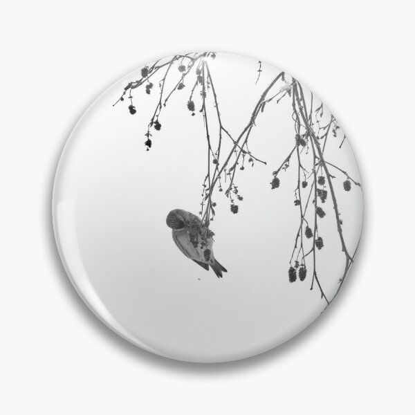 Item preview, Those lovely hidden seeds. Mealy redpoll bw designed and sold by Jouko Lehto Photography.