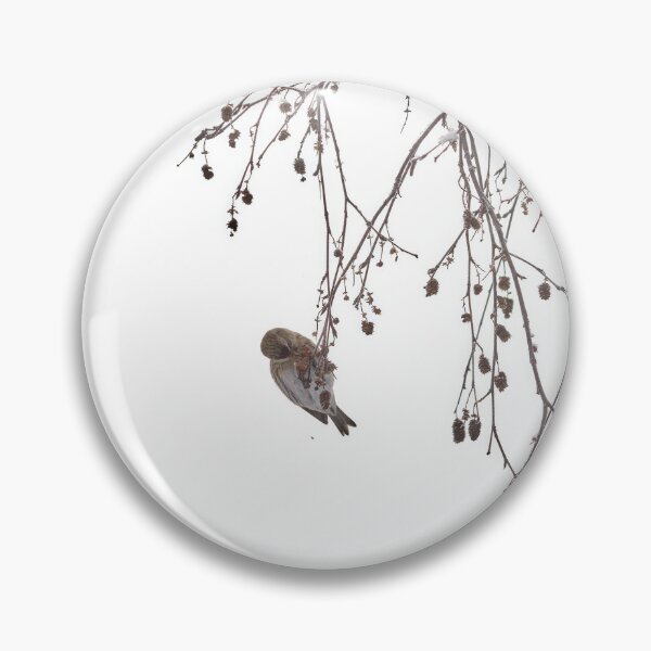 Item preview, Those lovely hidden seeds. Mealy redpoll designed and sold by Jouko Lehto Photography.