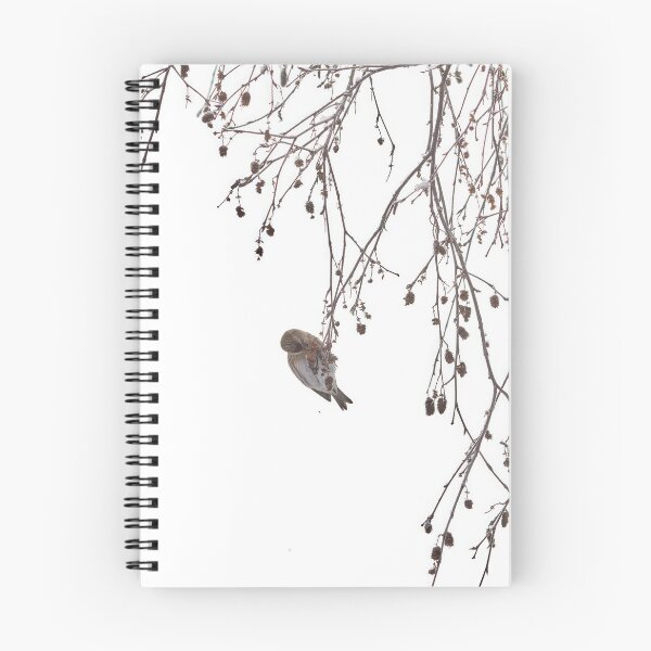 Item preview, Those lovely hidden seeds. Mealy redpoll designed and sold by Jouko Lehto Photography.