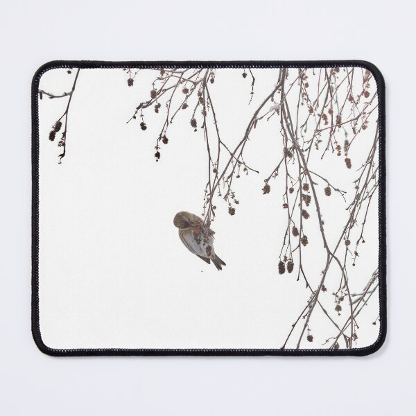 Item preview, Those lovely hidden seeds. Mealy redpoll designed and sold by Jouko Lehto Photography.