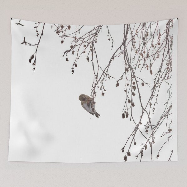 Item preview, Those lovely hidden seeds. Mealy redpoll designed and sold by Jouko Lehto Photography.