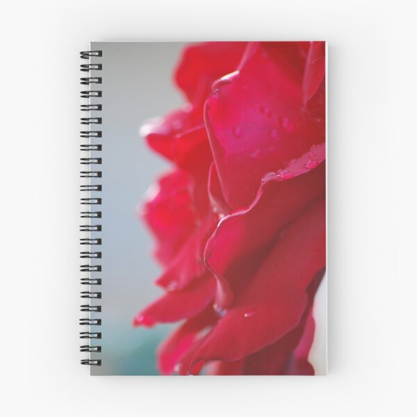 Item preview, Gentle inspiration designed and sold by Lozzar Flowers & Art.