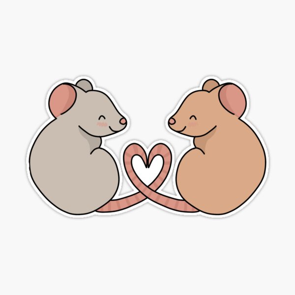 Rats in love