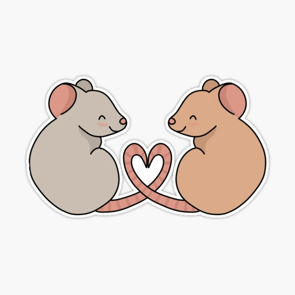 st,large,507x507-pad,600x600,