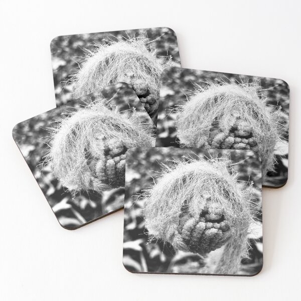 Item preview, Fiddlehead in Black and White designed and sold by Ortwork.