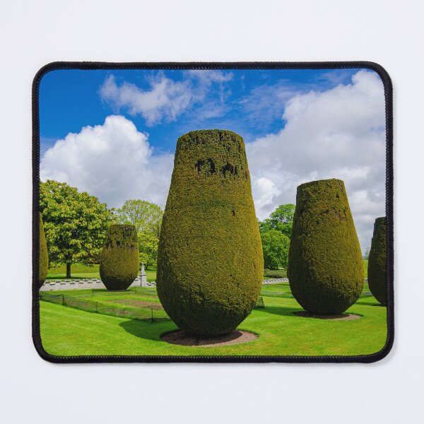 Item preview, Sculpted Shrubbery at Lanhydrock House, Cornwall, England designed and sold by Brian Shaw.