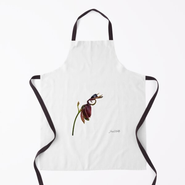 Item preview, Large flying duck orchid designed and sold by westvicphoto.