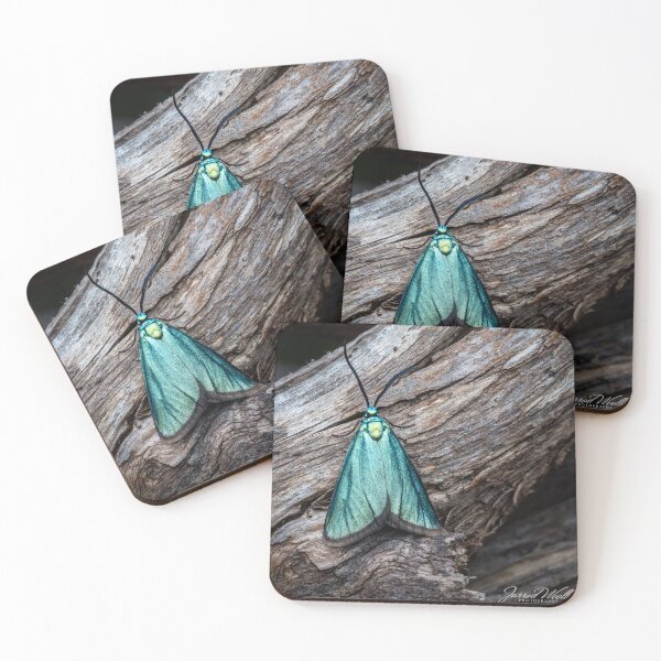 Item preview, satin green forrester designed and sold by westvicphoto.