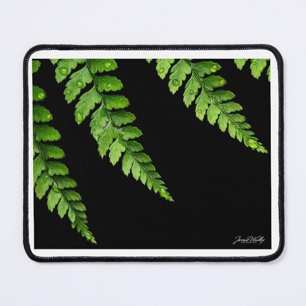 Item preview, fern designed and sold by westvicphoto.