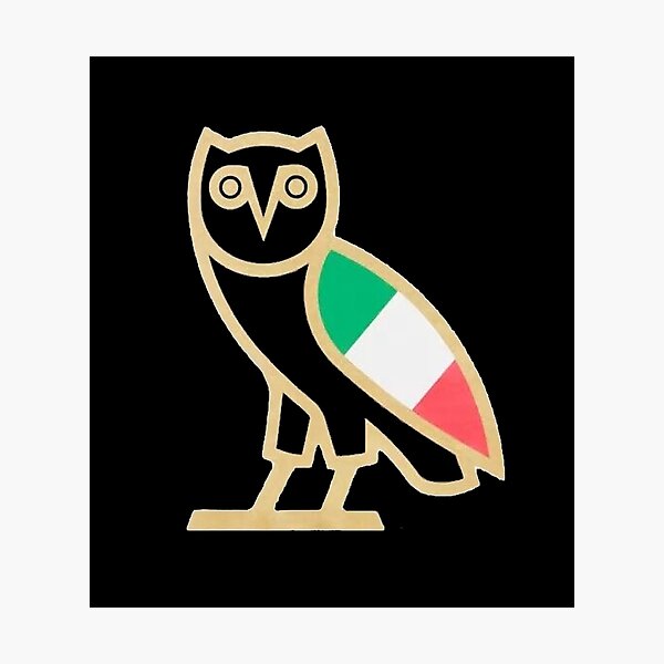 Ovoxo Logo Eule