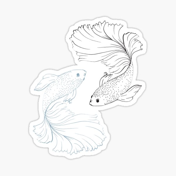 Jjk Satosugu Fish Sticker For Sale By Cloudyprints Redbubble