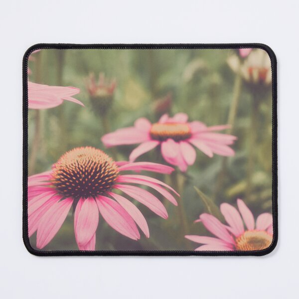 Item preview, Echinacea designed and sold by ElderIslesPress.