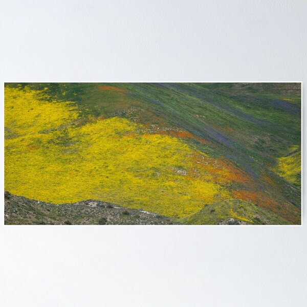 Item preview, Wildflower Medley, Carrizo Plains designed and sold by Betty Sederquist.