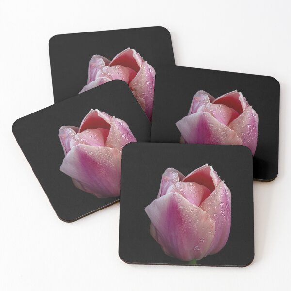 Item preview, Pink Tulip Perfection with Water Drops designed and sold by Betty Sederquist.