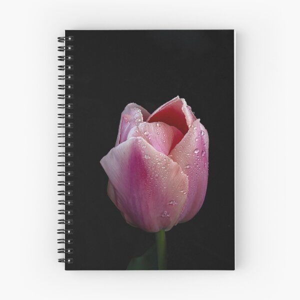 Item preview, Pink Tulip Perfection with Water Drops designed and sold by Betty Sederquist.