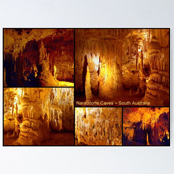 Artikelvorschau, Naracoorte Caves entworfen und verkauft von Clive.