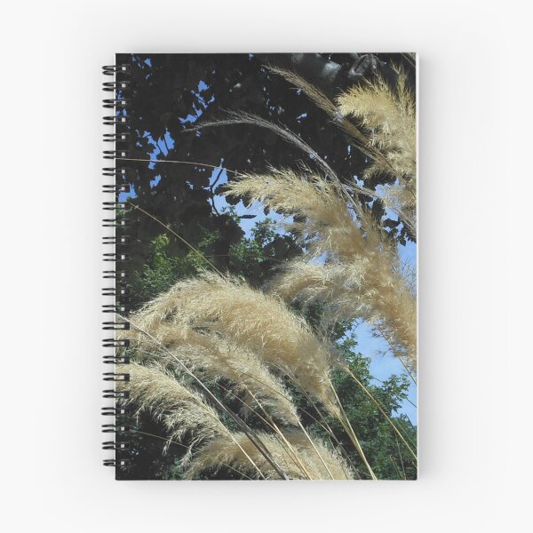 Item preview, Pampas Grass designed and sold by SunriseRose.