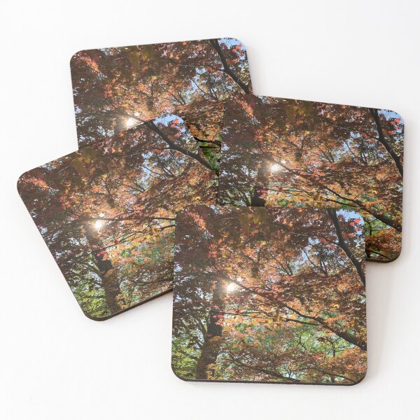 Item preview, Fall x Spring leaves designed and sold by Wolfie-Rose.