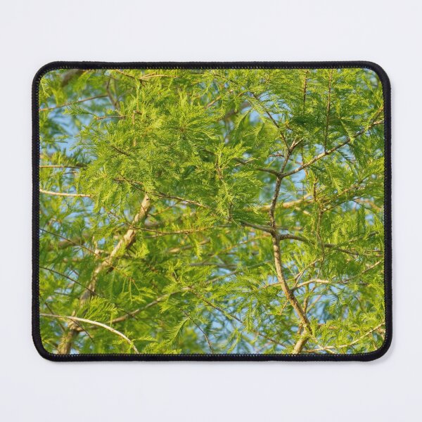 Item preview, Green Leaves in a Blue Sky designed and sold by Easley-Does-It.