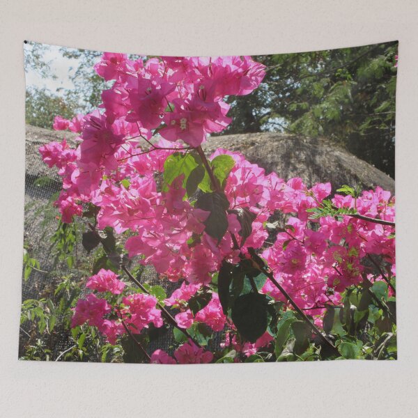 Item preview, Buganvillas designed and sold by Mary Holstege.