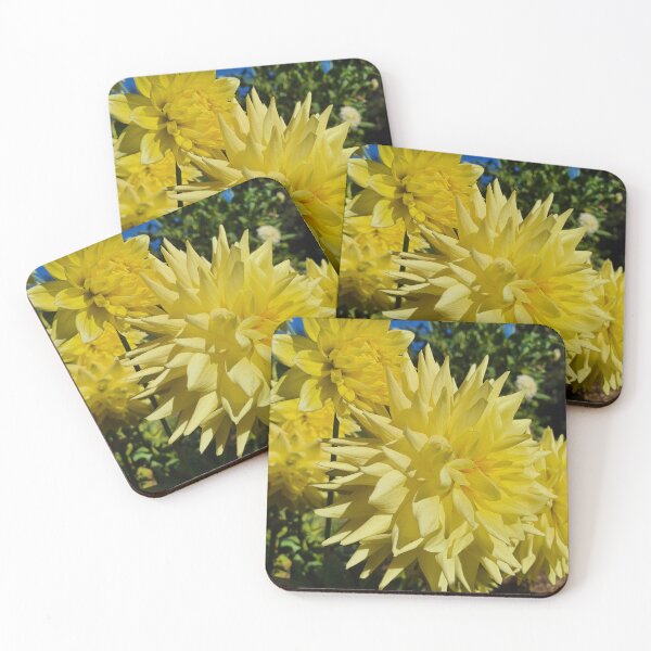 Item preview, Yellow Dahlias designed and sold by Claire L Page Photography.