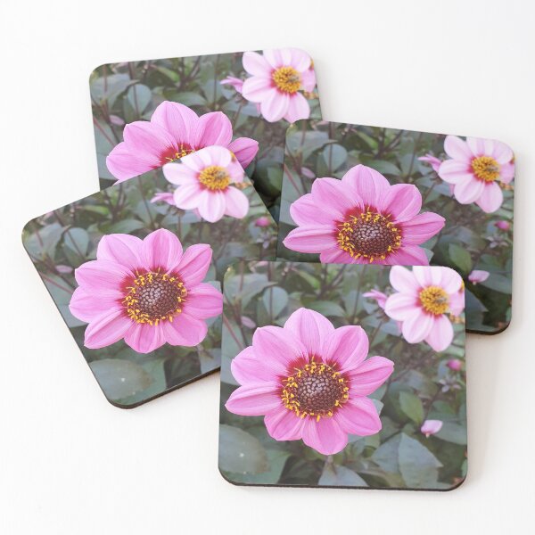 Item preview, Blue Bayou Anemone Dahlia designed and sold by Claire L Page Photography.