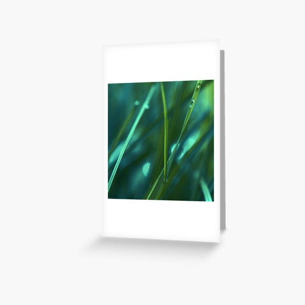 élan Greeting Card