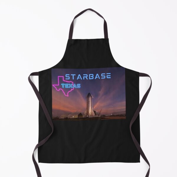 Item preview, SpaceX Starship designed and sold by TEEJAMBOREE.