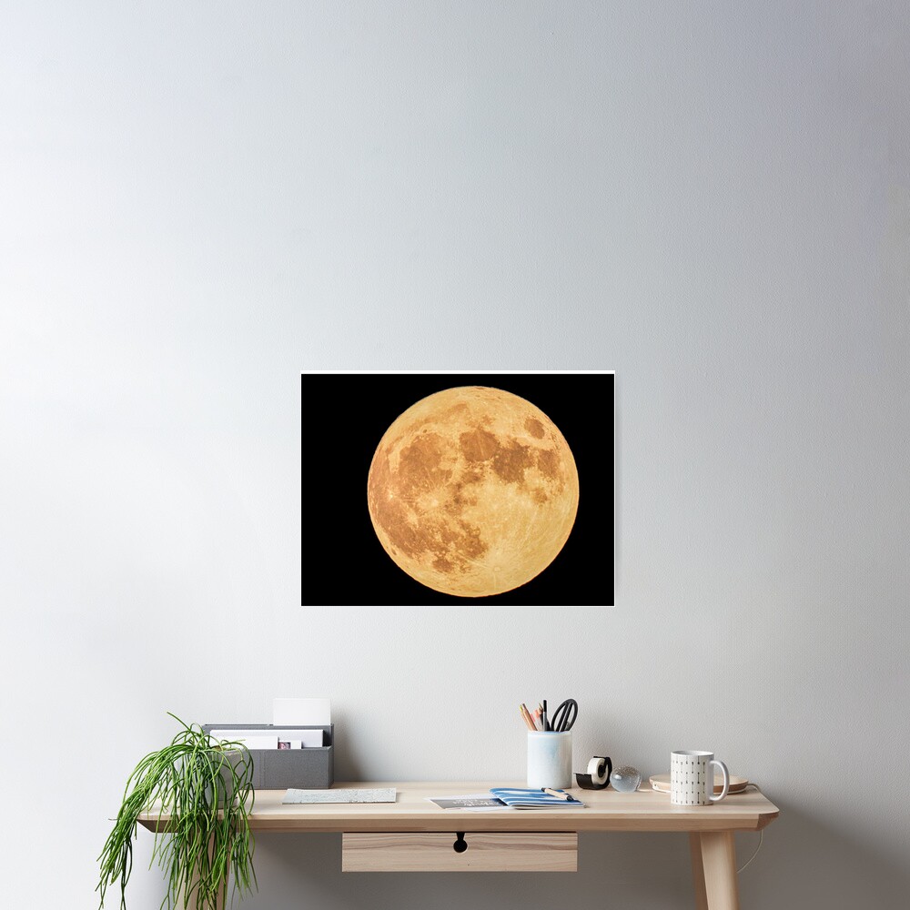 Item preview, Poster designed and sold by tkdgirlms.