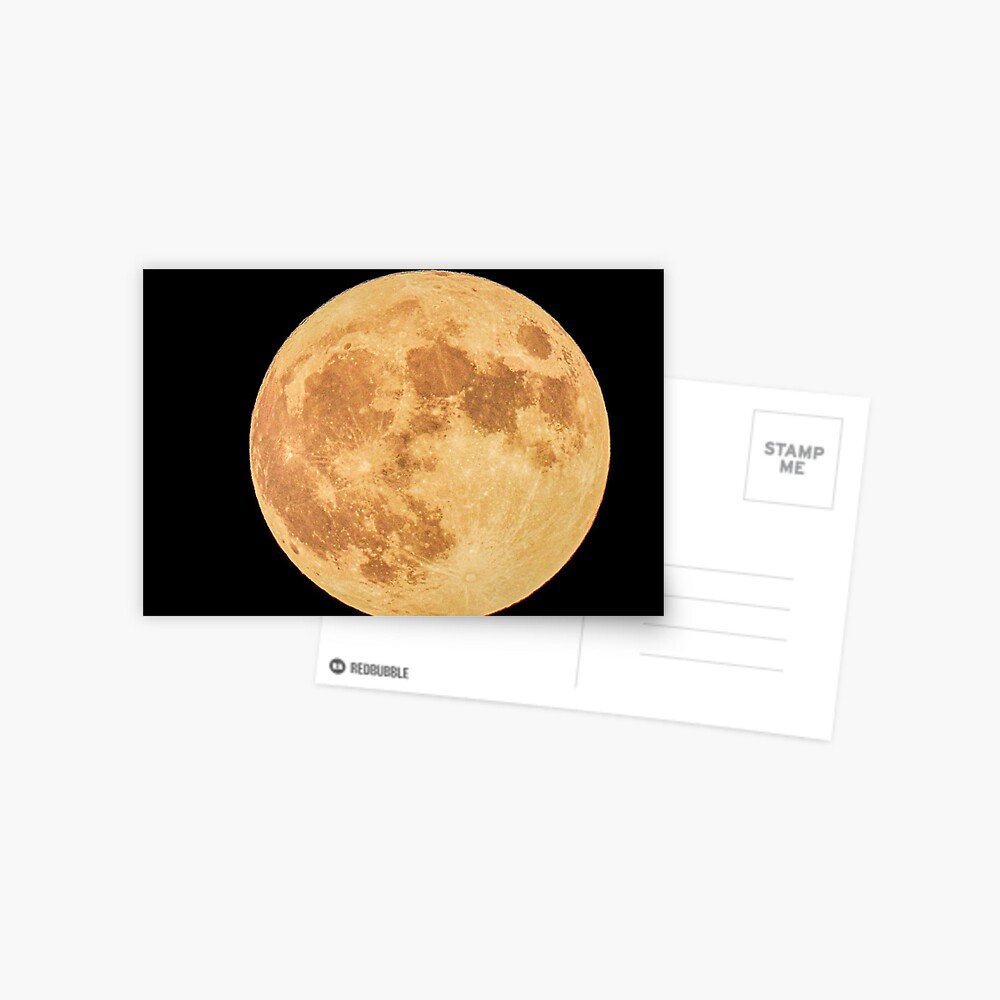 Item preview, Postcard designed and sold by tkdgirlms.