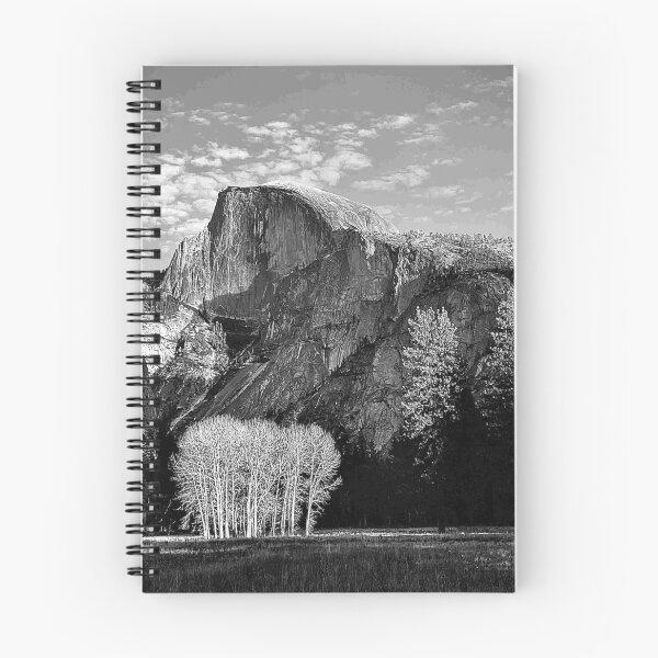 Item preview, Ahwahnee meadow Cottonwoods and Half Dome designed and sold by JazMac.