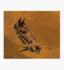 Pacer Photographic Print