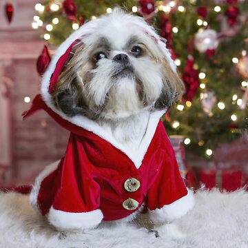 Merry Shih Tzu Christmas Tree Ornament