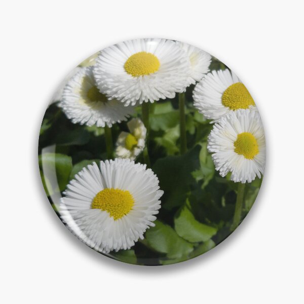 Item preview, white daisy designed and sold by yunee.